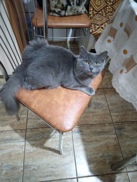 IMG-20231111-WA0010 - 2024 ianuarie