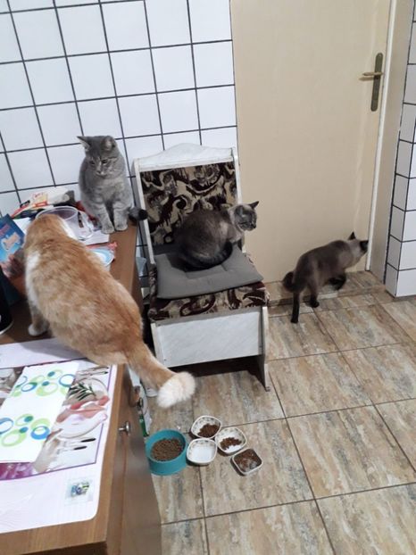 IMG-20231112-WA0000 - 2024 ianuarie