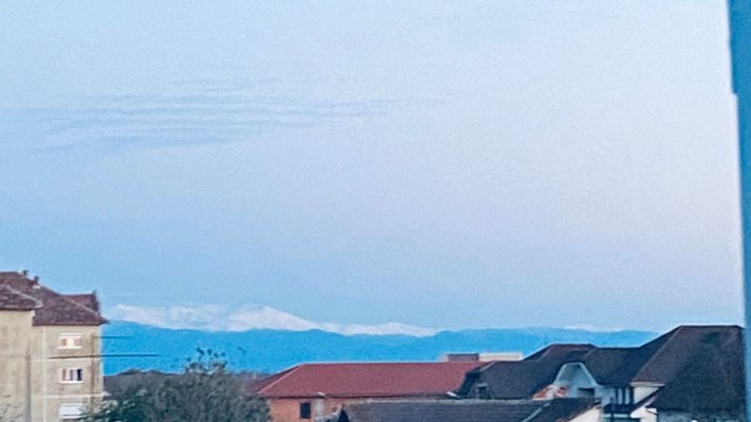 IMG-20231112-WA0008 - 2024 ianuarie