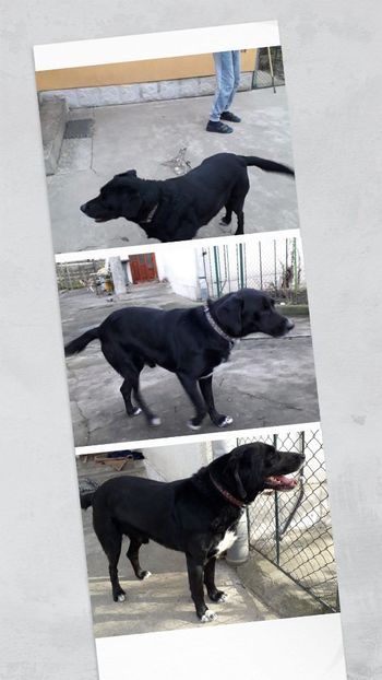 IMG-20231113-WA0002 - 2024 ianuarie