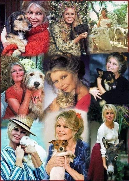 IMG-20231113-WA0004 - 2024 ianuarie