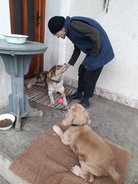 IMG-20231119-WA0001 - 2024 ianuarie