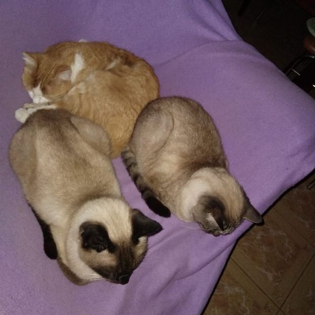 IMG-20231120-WA0007 - 2024 ianuarie