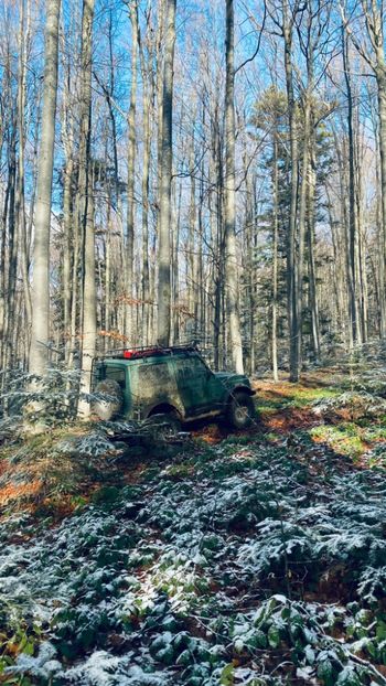 IMG-20231217-WA0001 - 2024 ianuarie _2