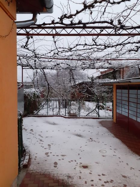 IMG-20231223-WA0001 - 2024 ianuarie _2