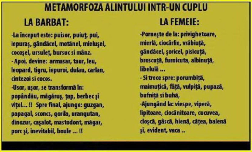  - Sfaturi Utile