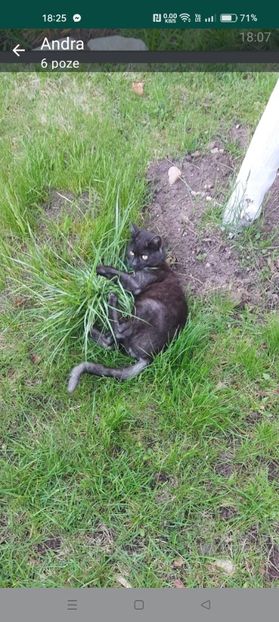 Screenshot_2024-01-20-18-25-16-18_6012fa4d4ddec268fc5c7112cbb265e7 - RIP Rufus