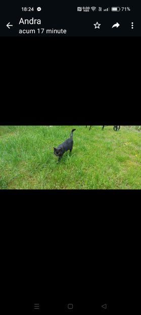 Screenshot_2024-01-20-18-24-55-95_6012fa4d4ddec268fc5c7112cbb265e7 - RIP Rufus