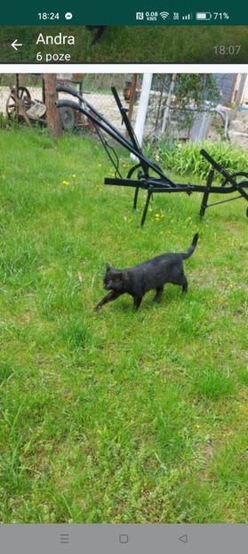 Screenshot_2024-01-20-18-24-46-09_6012fa4d4ddec268fc5c7112cbb265e7 - RIP Rufus