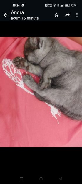 Screenshot_2024-01-20-18-24-12-34_6012fa4d4ddec268fc5c7112cbb265e7 - RIP Rufus