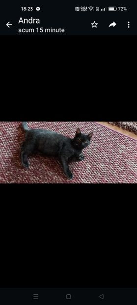 Screenshot_2024-01-20-18-23-46-87_6012fa4d4ddec268fc5c7112cbb265e7 - RIP Rufus