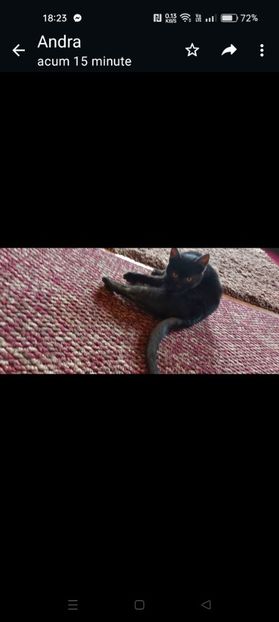 Screenshot_2024-01-20-18-23-40-61_6012fa4d4ddec268fc5c7112cbb265e7 - RIP Rufus