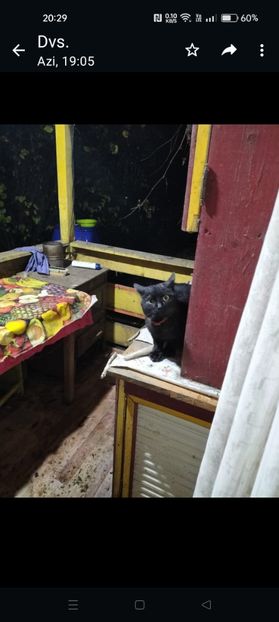 Screenshot_2024-01-20-20-29-57-18_6012fa4d4ddec268fc5c7112cbb265e7 - RIP Rufus