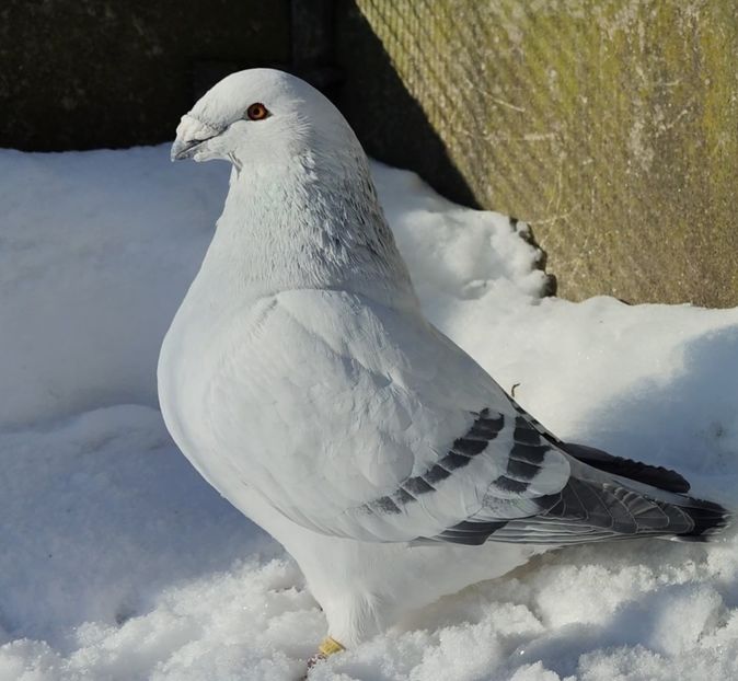 6 Archiwum - j- MLODE -2023- Youth