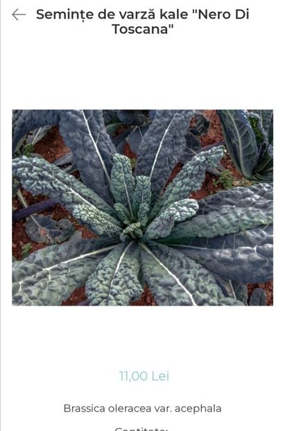 Screenshot_20240121_140802 - aaa Comanda plante 2022 2023 2024