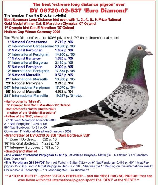 Screenshot_20240121-190614_Samsung Notes - 7 ROBERT VENUS MARATON COLECTION