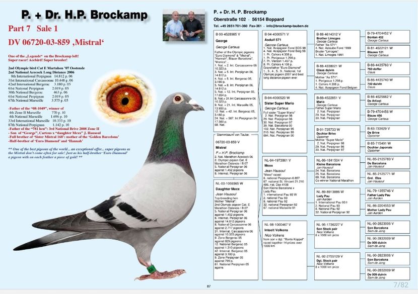 Screenshot_20240121-185745_Samsung Notes - 7 ROBERT VENUS MARATON COLECTION