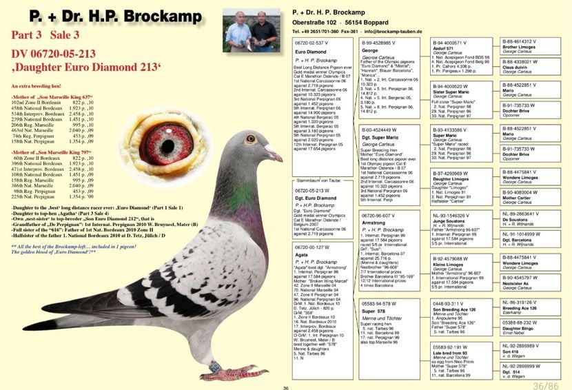 Screenshot_20240121-185519_Samsung Notes - 7 ROBERT VENUS MARATON COLECTION