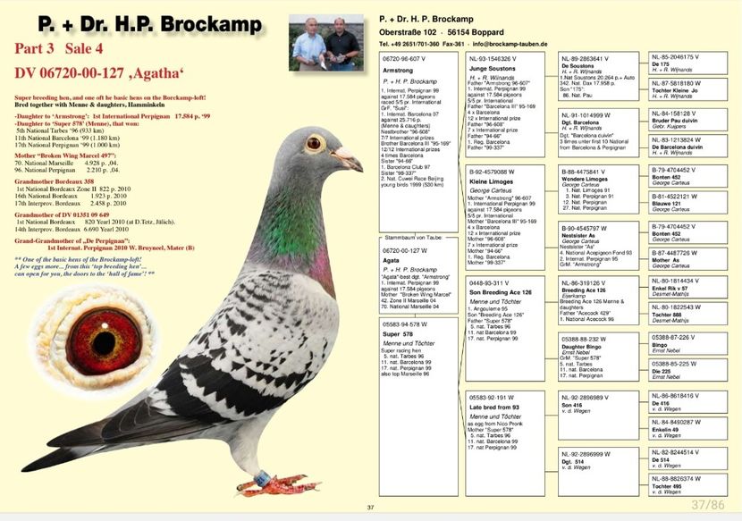 Screenshot_20240121-185324_Samsung Notes - 7 ROBERT VENUS MARATON COLECTION