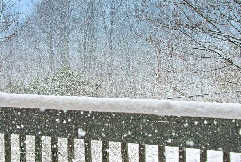 WINTER 2 - CANADIAN WINTER - Iarna Canadiana
