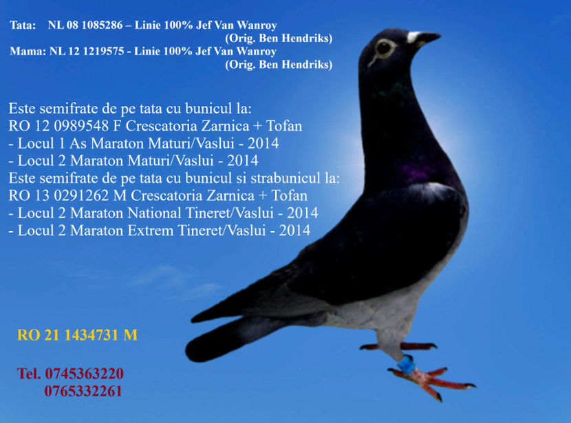 RO 21 1434731 M  REZERVAT HUSI  fix 300 Lei + transportul - ARHIVA