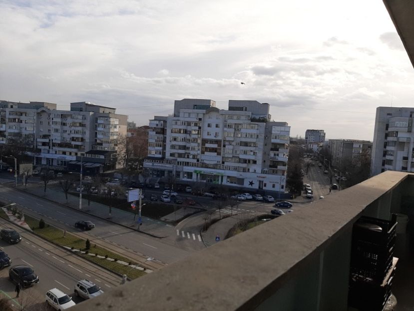  - REMEMBER poze frumoase amintiri Casa Părintească 2024!