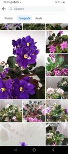 Screenshot_20230607_202902_Facebook - Violete 2024