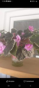 Screenshot_20230519_110407_Facebook - Violete 2024