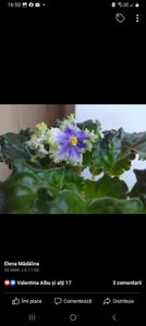 Screenshot_20230419_165049_Facebook - Violete 2024