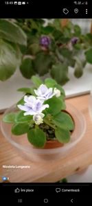 Screenshot_20230306_184913_Facebook - Violete 2024