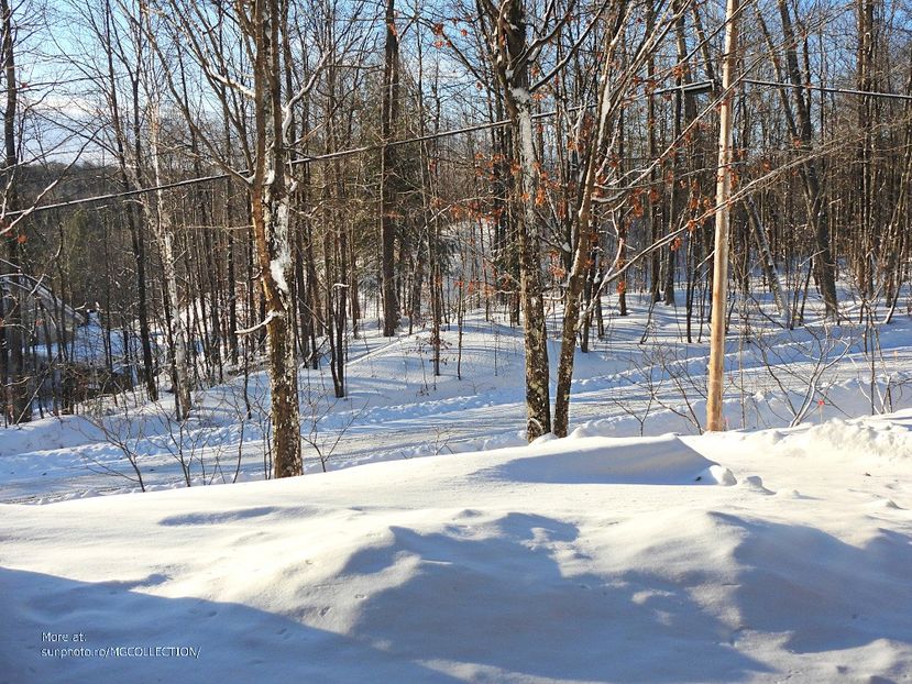 Winter 3 - WINTER - Iarna Canadiana