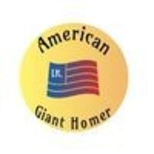 Perechea 8 - PERECHI 2024