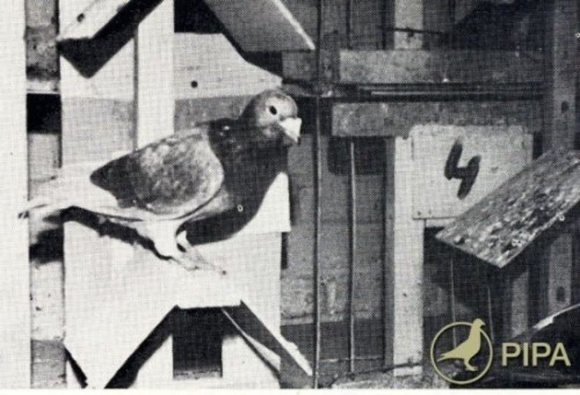 stijlmeubelen104 - 2 Mobilier de stil de la Lauwe - The Louis - Partea 2