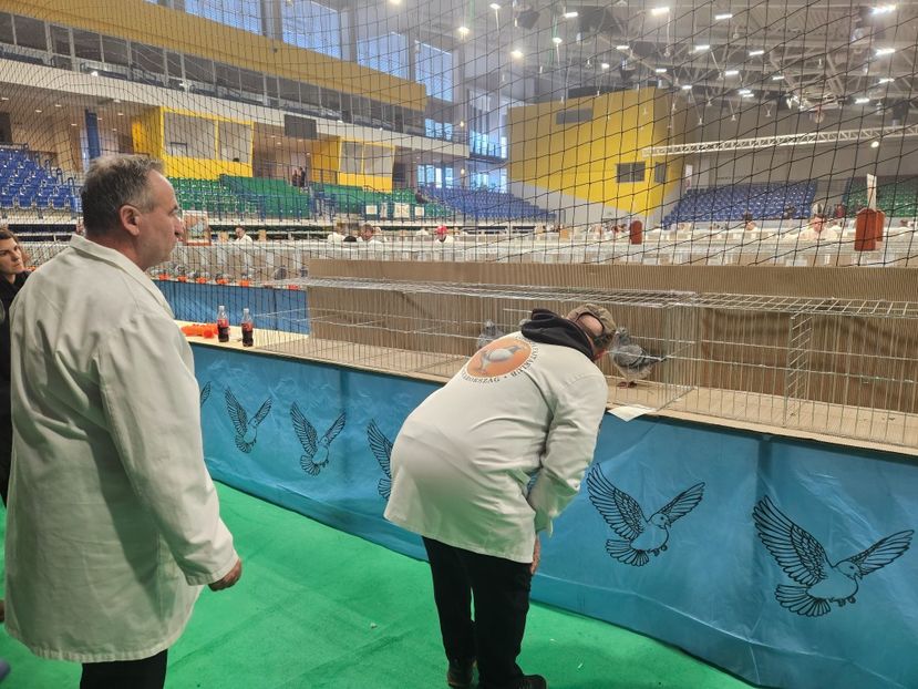  - EXPOZIȚIE HU DABAS 2024