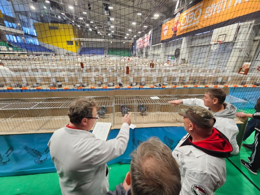  - EXPOZIȚIE HU DABAS 2024