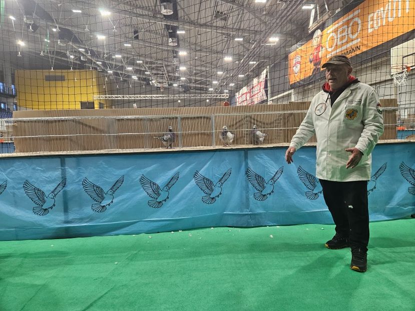  - EXPOZIȚIE HU DABAS 2024