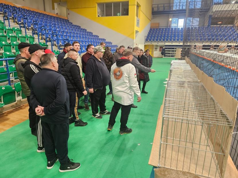  - EXPOZIȚIE HU DABAS 2024