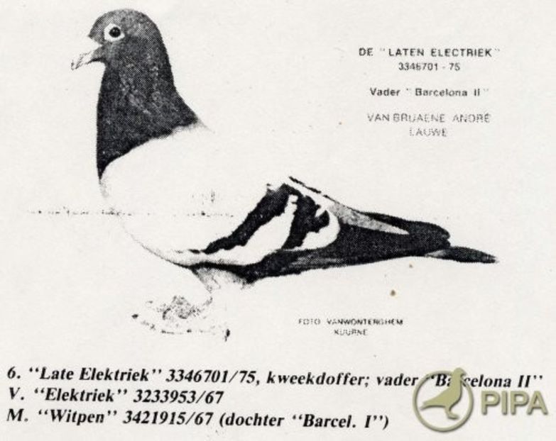 aavba205 (1) - 7 Mobilier de epocă de la Lauwe L amateur parle - Partea 7