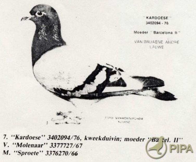 aavba204 (1) - 7 Mobilier de epocă de la Lauwe L amateur parle - Partea 7