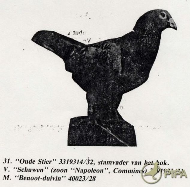 aavba202 (1) - 7 Mobilier de epocă de la Lauwe L amateur parle - Partea 7