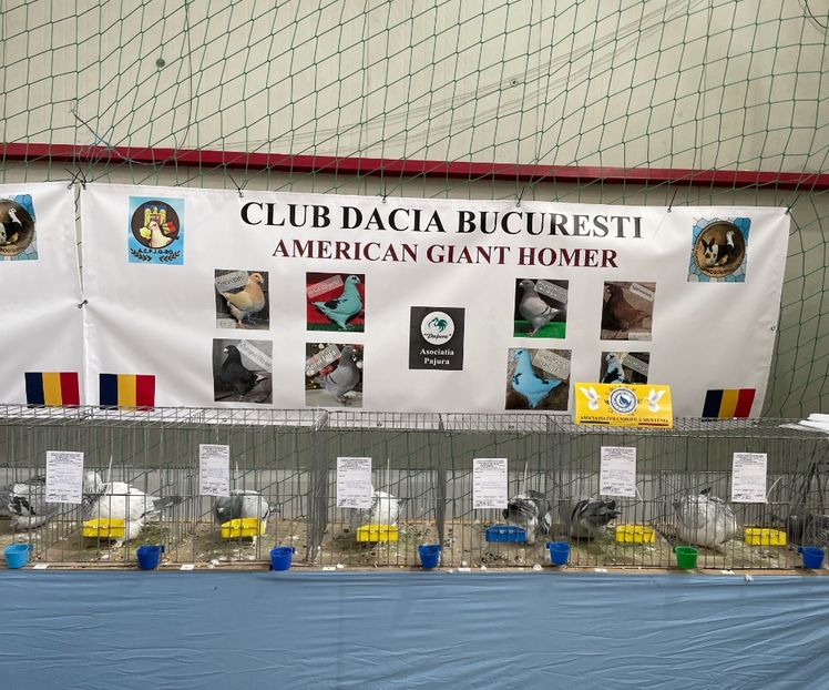 - __Expo Club Dacia Popești-Leordeni 2024