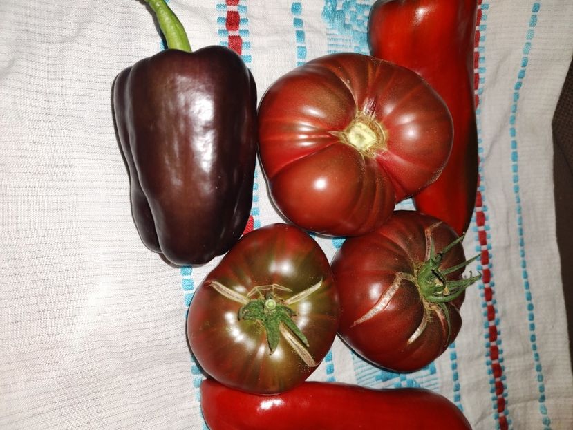  - Gradina de legume