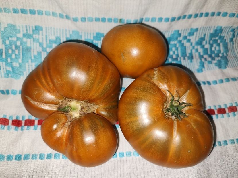 Urulu okre - Gradina de legume