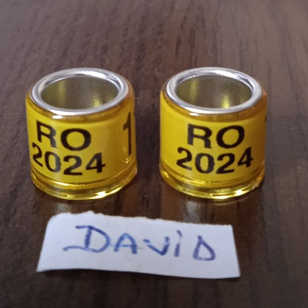 2024-galben....-1 leu - Inele porumbei 2024 de vanzare
