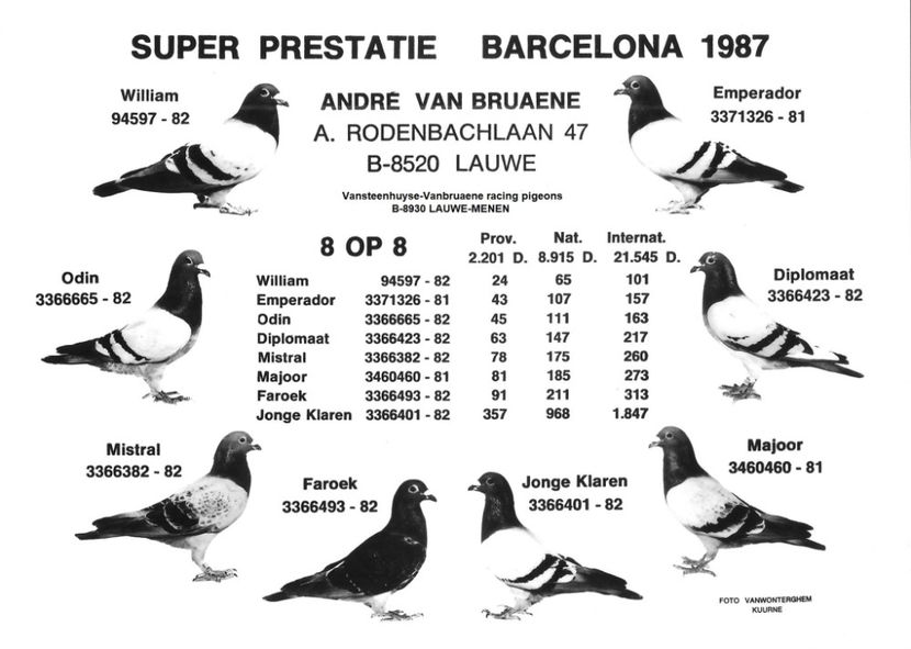  - 1 Andre Vanbruaene O legendă