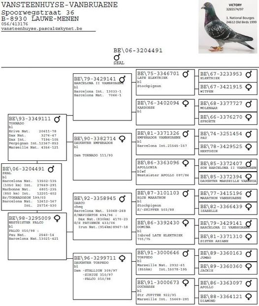  - 1 Andre Vanbruaene O legendă