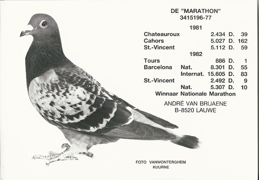  - 1 Andre Vanbruaene O legendă