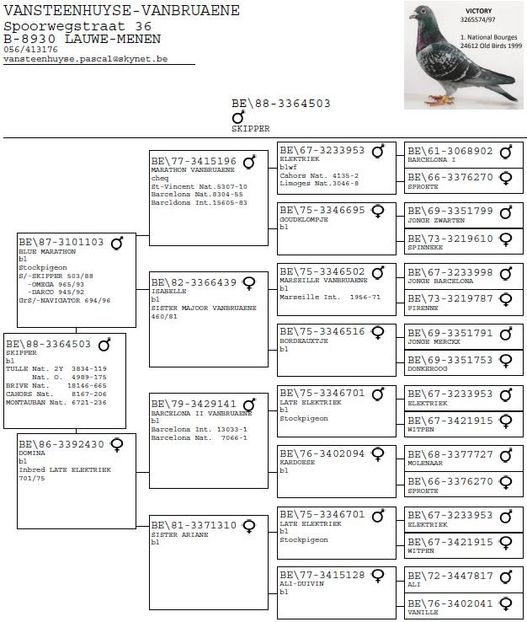 - 1 Andre Vanbruaene O legendă