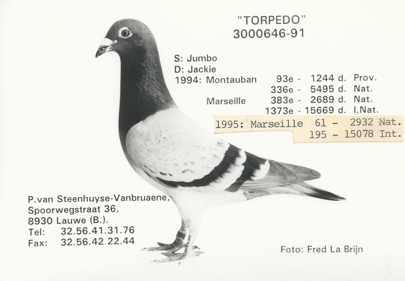  - 1 Andre Vanbruaene O legendă