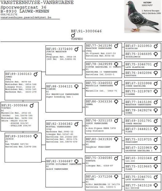  - 1 Andre Vanbruaene O legendă
